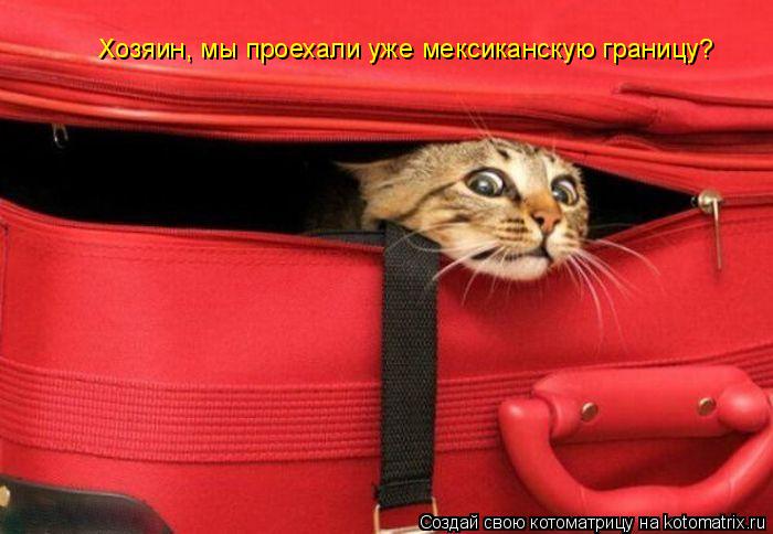 Хозяин, мы проехали уже мексиканскую границу?... Котоматрица: Хозяин, мы проехали уже мексиканскую границу?