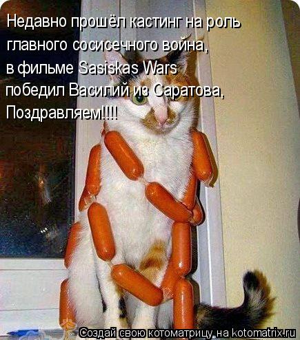 Недавно прошёл кастинг на роль главного сосисечного война, в фильме Sasiskas Wars победил Василий из ... Котоматрица: Недавно прошёл кастинг на роль главного сосисечного война, в фильме Sasiskas Wars победил Василий из Саратова, Поздравляем!!!!