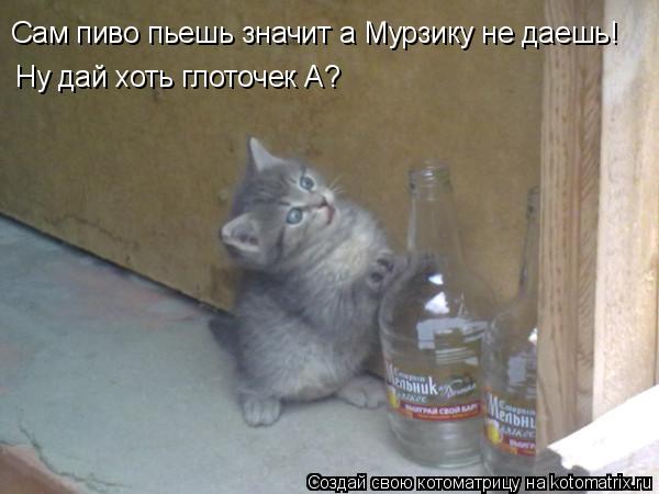 Сам пиво пьешь значит а Мурзику не даешь! Ну дай хоть глоточек А?... Котоматрица: Сам пиво пьешь значит а Мурзику не даешь! Ну дай хоть глоточек А?