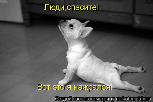 Люди,спасите! Вот это я нажрался!... Котоматрица: Люди,спасите! Вот это я нажрался!