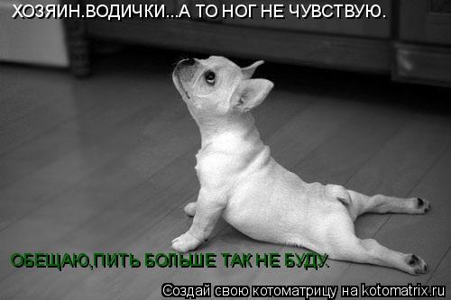 ХОЗЯИН.ВОДИЧКИ...А ТО НОГ НЕ ЧУВСТВУЮ. ОБЕЩАЮ,ПИТЬ БОЛЬШЕ ТАК НЕ БУДУ.... Котоматрица: ХОЗЯИН.ВОДИЧКИ...А ТО НОГ НЕ ЧУВСТВУЮ. ОБЕЩАЮ,ПИТЬ БОЛЬШЕ ТАК НЕ БУДУ.