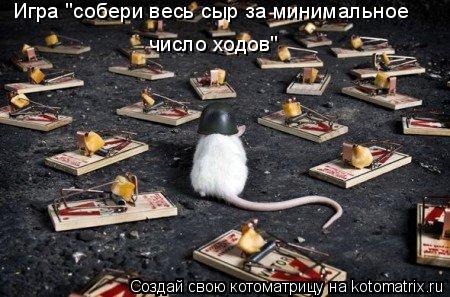Игра "собери весь сыр за минимальное число ходов"... Котоматрица: Игра "собери весь сыр за минимальное число ходов"