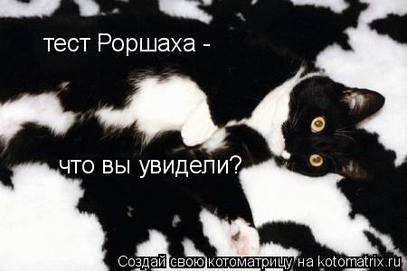 тест Роршаха - что вы увидели?... Котоматрица: тест Роршаха - что вы увидели?