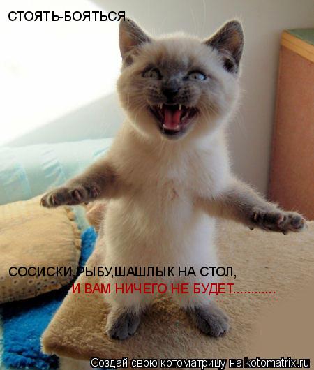 СТОЯТЬ-БОЯТЬСЯ. СОСИСКИ,РЫБУ,ШАШЛЫК НА СТОЛ, И ВАМ НИЧЕГО НЕ БУДЕТ............... Котоматрица: СТОЯТЬ-БОЯТЬСЯ. СОСИСКИ,РЫБУ,ШАШЛЫК НА СТОЛ, И ВАМ НИЧЕГО НЕ БУДЕТ............