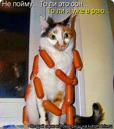 Не пойму... То ли это сон... То ли я уже в раю...... Котоматрица: Не пойму... То ли это сон... То ли я уже в раю...