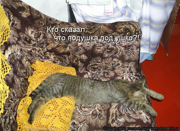 Кто сказал, что подушка под ушко?!... Котоматрица: Кто сказал, что подушка под ушко?!