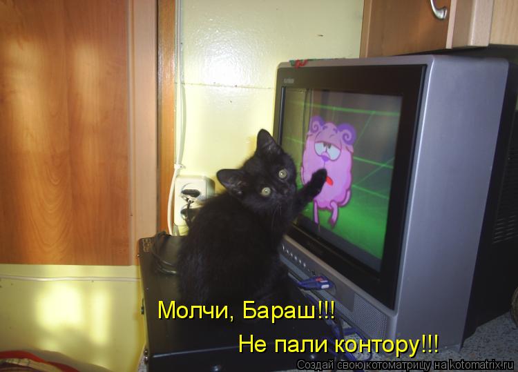 Молчи, Бараш!!! Не пали контору!!!... Котоматрица: Молчи, Бараш!!! Не пали контору!!!