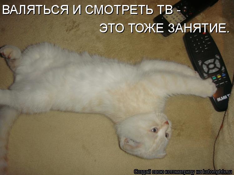 ВАЛЯТЬСЯ И СМОТРЕТЬ ТВ - ЭТО ТОЖЕ ЗАНЯТИЕ.... Котоматрица: ВАЛЯТЬСЯ И СМОТРЕТЬ ТВ - ЭТО ТОЖЕ ЗАНЯТИЕ.