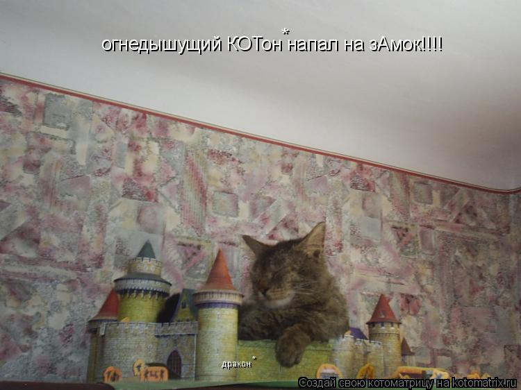огнедышущий КОТон напал на зАмок!!!! * дракон *... Котоматрица: огнедышущий КОТон напал на зАмок!!!! * дракон *
