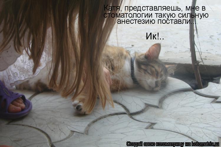стоматологии такую сильную анестезию поставли... Ик!.. Катя, представляешь, мне в... Котоматрица: стоматологии такую сильную анестезию поставли... Ик!.. Катя, представляешь, мне в