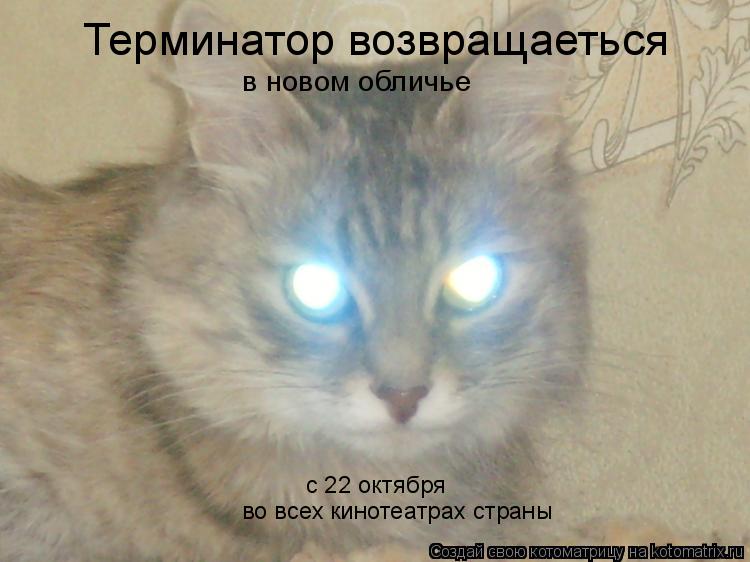 Терминатор возвращаеться в новом обличье во всех кинотеатрах страны с 22 октября... Котоматрица: Терминатор возвращаеться в новом обличье во всех кинотеатрах страны с 22 октября