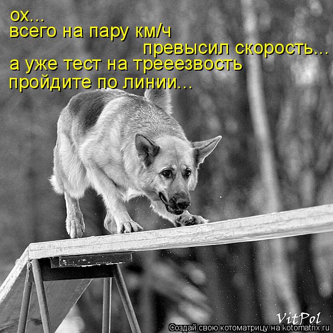 ох... а уже тест на трееезвость пройдите по линии... всего на пару км/ч превысил скорость...... Котоматрица: ох... а уже тест на трееезвость пройдите по линии... всего на пару км/ч превысил скорость...