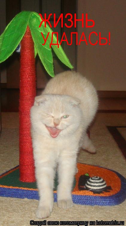ЖИЗНЬ УДАЛАСЬ!... Котоматрица: ЖИЗНЬ УДАЛАСЬ!