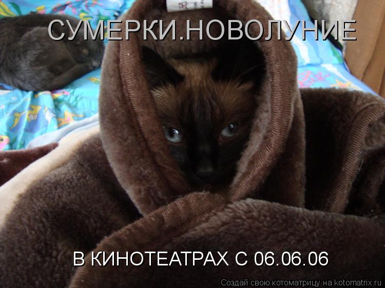 СУМЕРКИ.НОВОЛУНИЕ В КИНОТЕАТРАХ С 06.06.06... Котоматрица: СУМЕРКИ.НОВОЛУНИЕ В КИНОТЕАТРАХ С 06.06.06