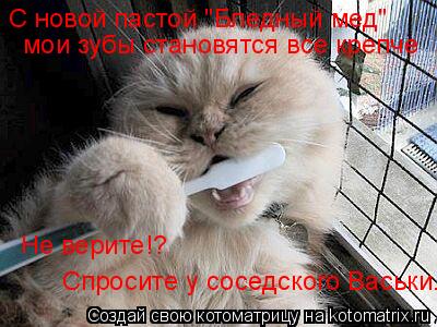 С новой пастой "Бледный мед" мои зубы становятся все крепче Не верите!? Спросите у соседского Васьк... Котоматрица: С новой пастой "Бледный мед" мои зубы становятся все крепче Не верите!? Спросите у соседского Васьки.