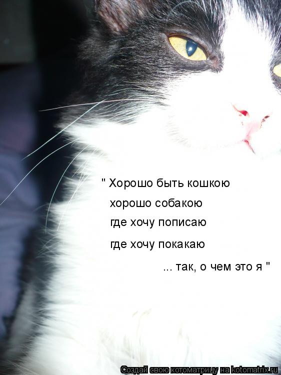 хорошо собакою где хочу пописаю где хочу покакаю ... так, о чем это я " " Хорошо быть кошкою... Котоматрица: хорошо собакою где хочу пописаю где хочу покакаю ... так, о чем это я " " Хорошо быть кошкою