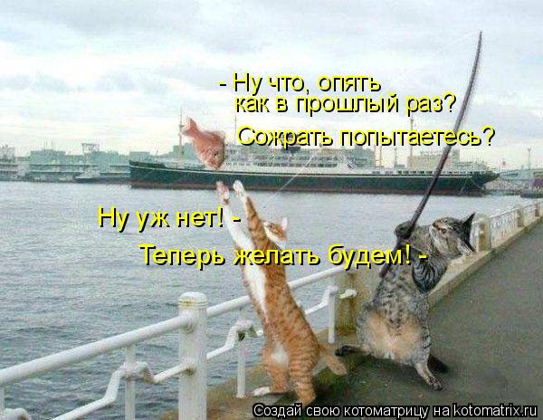 как в прошлый раз? - Ну что, опять Сожрать попытаетесь? Теперь желать будем! - Ну уж нет! -... Котоматрица: как в прошлый раз? - Ну что, опять Сожрать попытаетесь? Теперь желать будем! - Ну уж нет! -