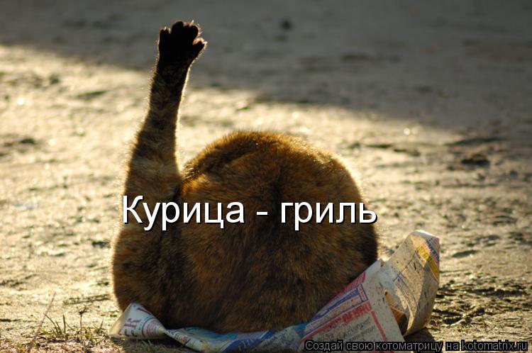 Курица - гриль... Котоматрица: Курица - гриль