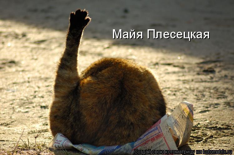 Майя Плесецкая... Котоматрица: Майя Плесецкая