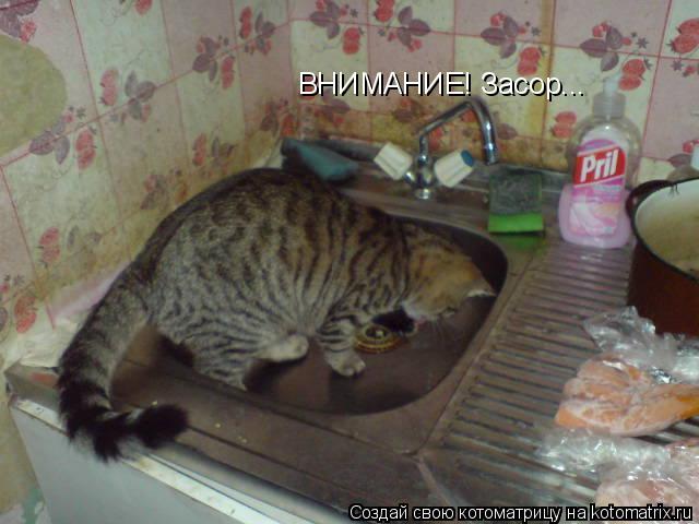 ВНИМАНИЕ! Засор...... Котоматрица: ВНИМАНИЕ! Засор...