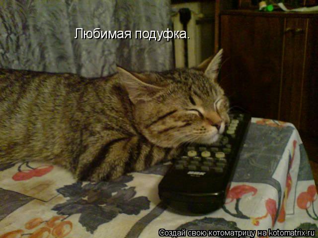 Любимая подуфка.... Котоматрица: Любимая подуфка.