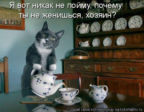 Я вот никак не пойму, почему ты не женишься, хозяин?... Котоматрица: Я вот никак не пойму, почему ты не женишься, хозяин?