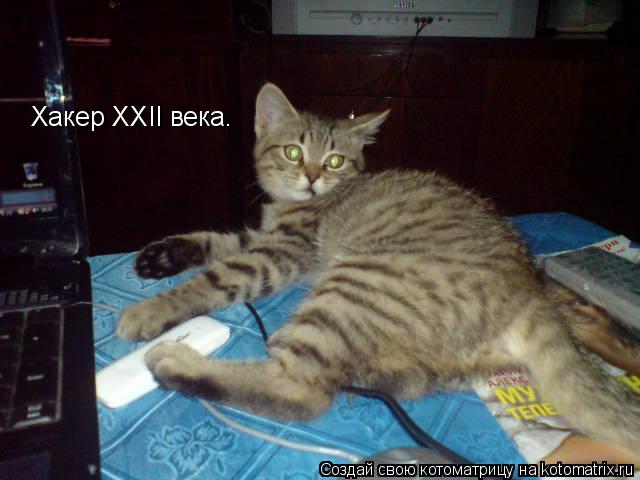 Хакер ХХII века.... Котоматрица: Хакер ХХII века.