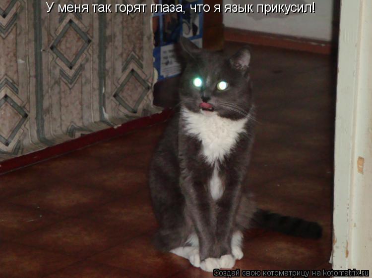 У меня так горят глаза, что я язык прикусил!... Котоматрица: У меня так горят глаза, что я язык прикусил!