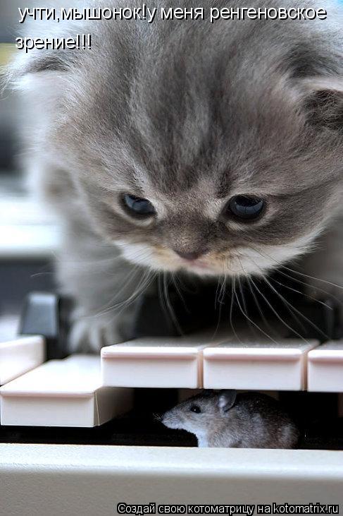 учти,мышонок!у меня ренгеновское зрение!!!... Котоматрица: учти,мышонок!у меня ренгеновское зрение!!!