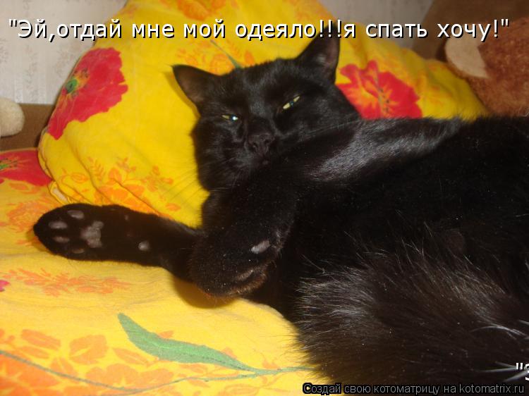 "Эй,отдай мне мой одеяло!!!я спать хочу!" "Эй,отдай мне мой одеяло!!!я спать хочу!"... Котоматрица: "Эй,отдай мне мой одеяло!!!я спать хочу!" "Эй,отдай мне мой одеяло!!!я спать хочу!"