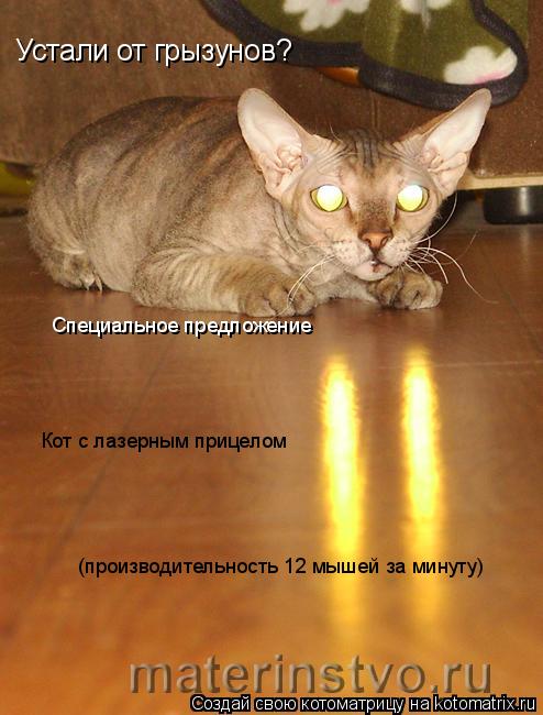 Специальное предложение Кот с лазерным прицелом (производительность 12 мышей за минуту) Устали от гры... Котоматрица: Специальное предложение Кот с лазерным прицелом (производительность 12 мышей за минуту) Устали от грызунов?