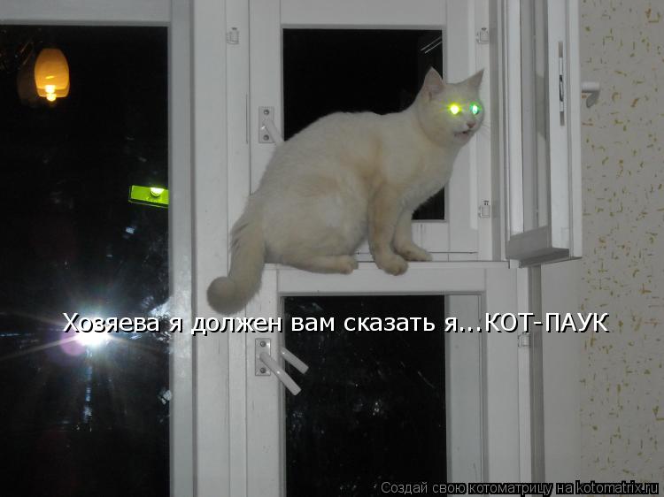 Хозяева я должен вам сказать я...КОТ-ПАУК... Котоматрица: Хозяева я должен вам сказать я...КОТ-ПАУК