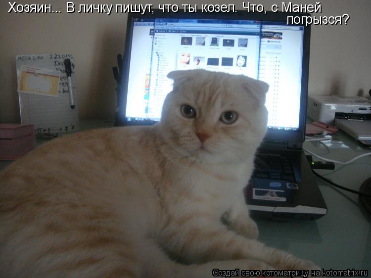 Хозяин... В личку пишут, что ты козел. Что, с Маней погрызся?... Котоматрица: Хозяин... В личку пишут, что ты козел. Что, с Маней погрызся?