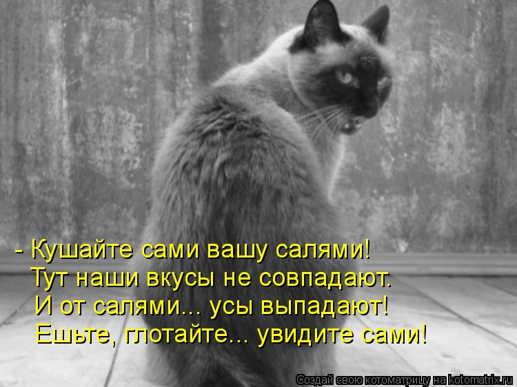 - Кушайте сами вашу салями! Тут наши вкусы не совпадают. И от салями... усы выпадают! Ешьте, глотайте... Котоматрица: - Кушайте сами вашу салями! Тут наши вкусы не совпадают. И от салями... усы выпадают! Ешьте, глотайте... увидите сами!