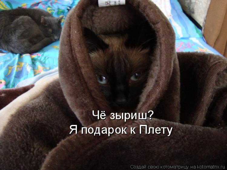 Я подарок к Плету Чё зыриш?... Котоматрица: Я подарок к Плету Чё зыриш?