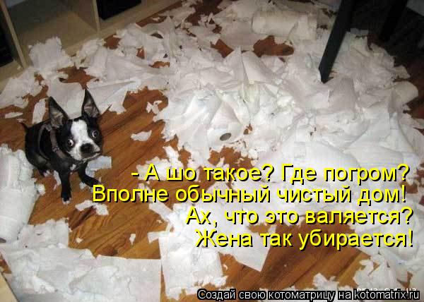 - А шо такое? Где погром? Вполне обычный чистый дом! Ах, что это валяется? Жена так убирается!... Котоматрица: - А шо такое? Где погром? Вполне обычный чистый дом! Ах, что это валяется? Жена так убирается!