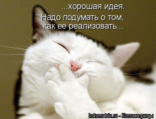 ...хорошая идея. Надо подумать о том, как ее реализовать...... Котоматрица: ...хорошая идея. Надо подумать о том, как ее реализовать...