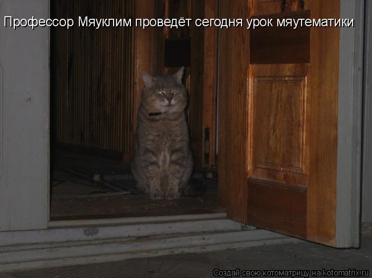 Профессор Мяуклим проведёт сегодня урок мяутематики... Котоматрица: Профессор Мяуклим проведёт сегодня урок мяутематики