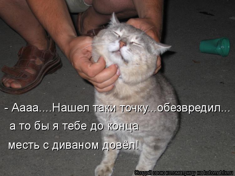 - Аааа....Нашел таки точку...обезвредил... а то бы я тебе до конца месть с диваном довёл!... Котоматрица: - Аааа....Нашел таки точку...обезвредил... а то бы я тебе до конца месть с диваном довёл!