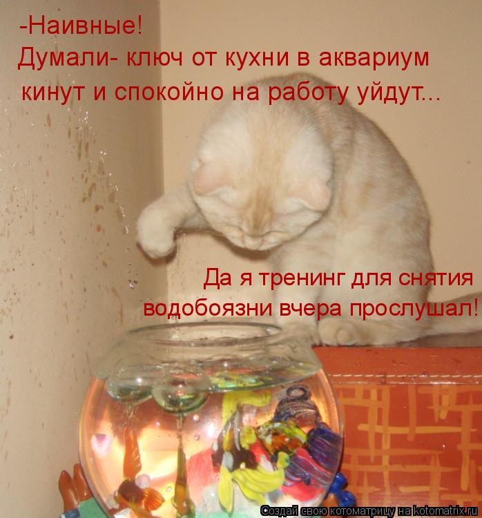-Наивные! Думали- ключ от кухни в аквариум кинут и спокойно на работу уйдут... Да я тренинг для сняти... Котоматрица: -Наивные! Думали- ключ от кухни в аквариум кинут и спокойно на работу уйдут... Да я тренинг для снятия водобоязни вчера прослушал!