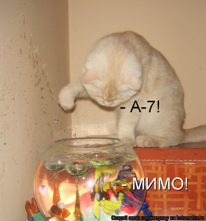 - А-7! - МИМО!... Котоматрица: - А-7! - МИМО!