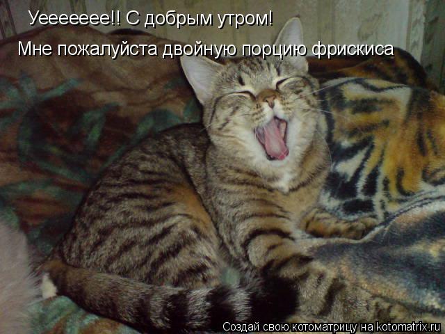 Уеееееее!! С добрым утром! Мне пожалуйста двойную порцию фрискиса... Котоматрица: Уеееееее!! С добрым утром! Мне пожалуйста двойную порцию фрискиса