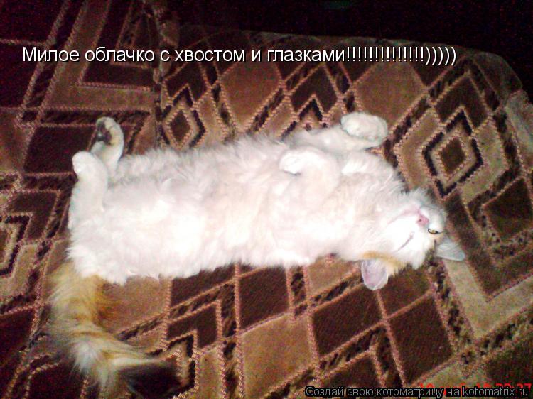 Милое облачко с хвостом и глазками!!!!!!!!!!!!!!)))))... Котоматрица: Милое облачко с хвостом и глазками!!!!!!!!!!!!!!)))))