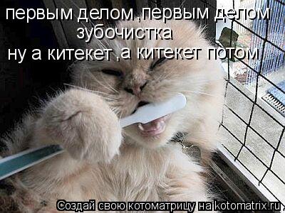первым делом ,первым делом зубочистка ну а китекет ,а китекет потом... Котоматрица: первым делом ,первым делом зубочистка ну а китекет ,а китекет потом