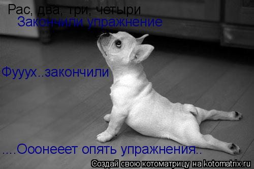 Рас, два, три, четыри Закончили упражнение Фууух..закончили ....Ооонееет опять упражнения..... Котоматрица: Рас, два, три, четыри Закончили упражнение Фууух..закончили ....Ооонееет опять упражнения..