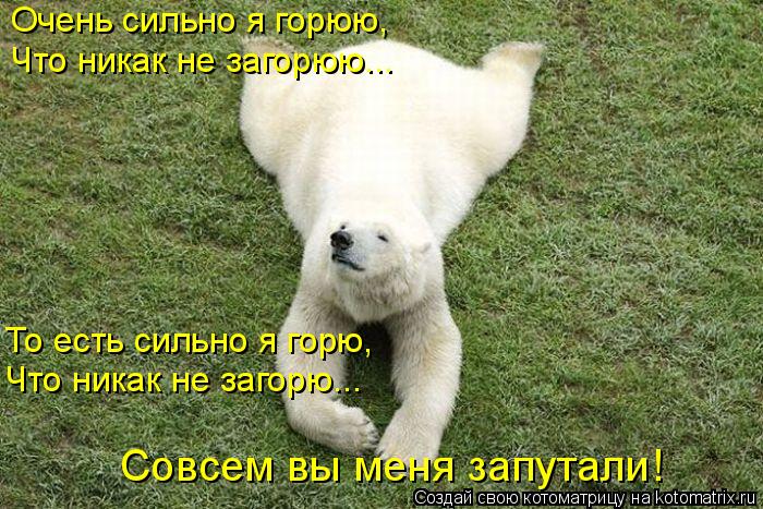 Очень сильно я горюю, Что никак не загорюю... То есть сильно я горю, Что никак не загорю... Совсем вы... Котоматрица: Очень сильно я горюю, Что никак не загорюю... То есть сильно я горю, Что никак не загорю... Совсем вы меня запутали!
