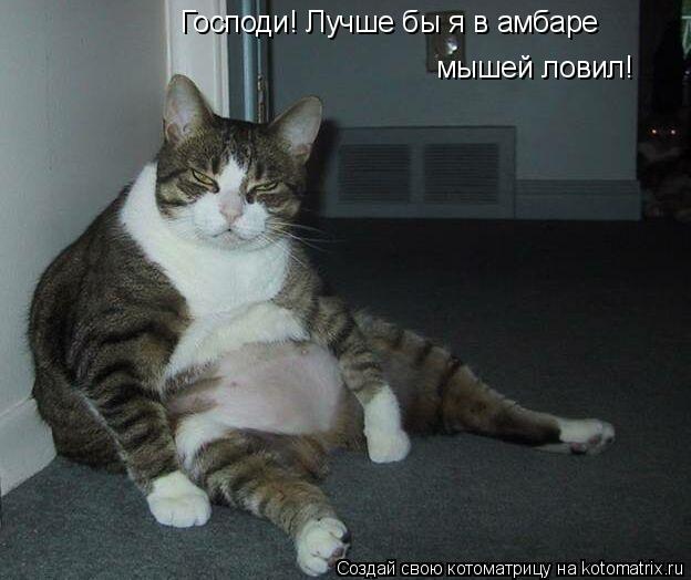 Господи! Лучше бы я в амбаре мышей ловил!... Котоматрица: Господи! Лучше бы я в амбаре мышей ловил!