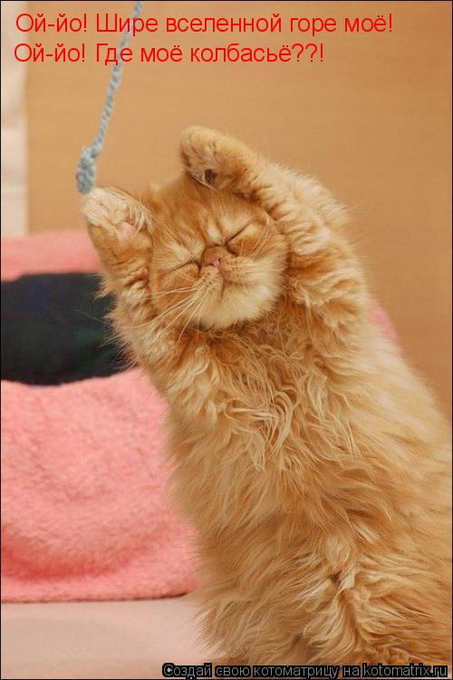 Ой-йо! Шире вселенной горе моё! Ой-йо! Где моё колбасьё??!... Котоматрица: Ой-йо! Шире вселенной горе моё! Ой-йо! Где моё колбасьё??!