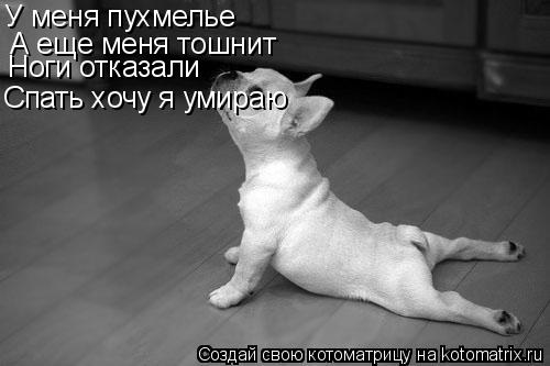 У меня пухмелье А еще меня тошнит Ноги отказали Спать хочу я умираю... Котоматрица: У меня пухмелье А еще меня тошнит Ноги отказали Спать хочу я умираю