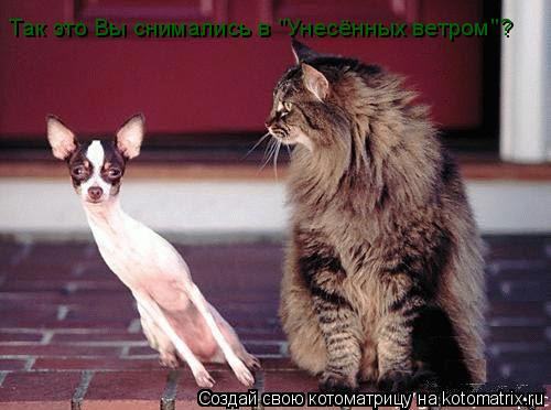 Так это Вы снимались в "Унесённых ветром"?... Котоматрица: Так это Вы снимались в "Унесённых ветром"?